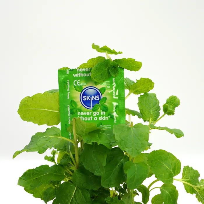 Enhancers Skins Skins Condoms Mint 4 Pack